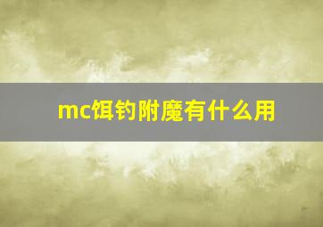 mc饵钓附魔有什么用