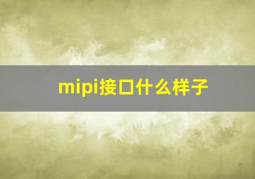 mipi接口什么样子