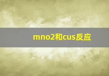 mno2和cus反应