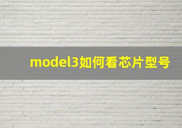 model3如何看芯片型号