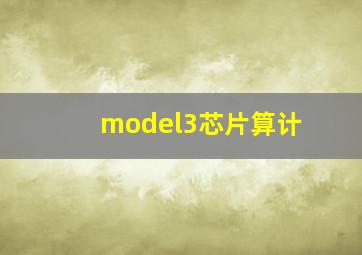 model3芯片算计