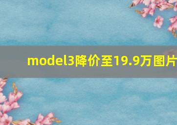 model3降价至19.9万图片