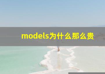 models为什么那么贵