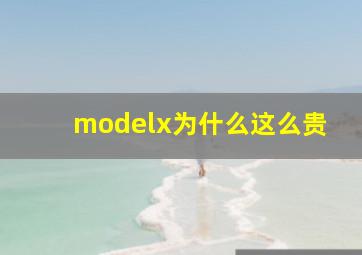 modelx为什么这么贵