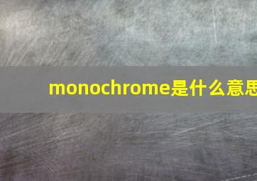 monochrome是什么意思