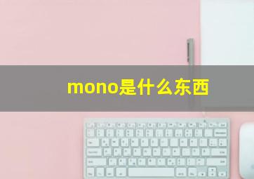 mono是什么东西