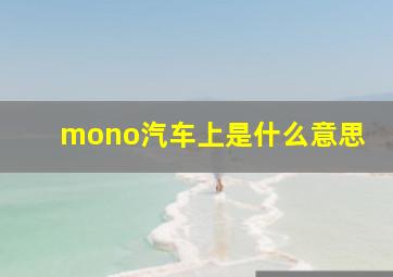 mono汽车上是什么意思