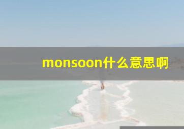 monsoon什么意思啊