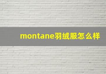 montane羽绒服怎么样