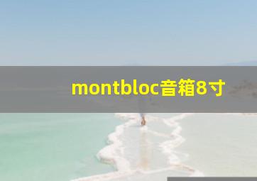 montbloc音箱8寸