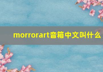 morrorart音箱中文叫什么