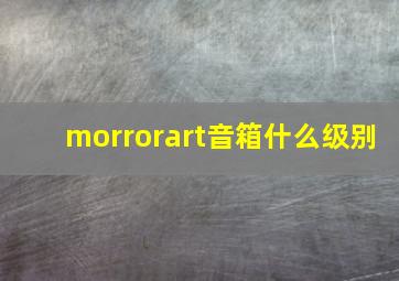 morrorart音箱什么级别