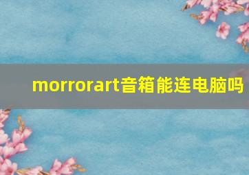 morrorart音箱能连电脑吗