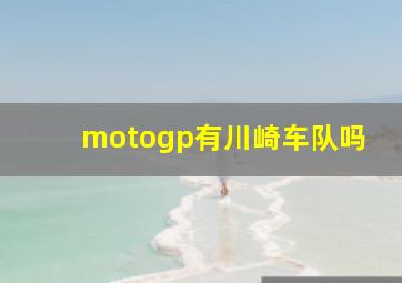 motogp有川崎车队吗