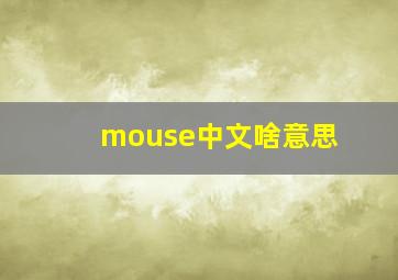 mouse中文啥意思