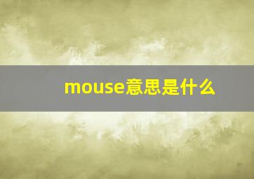 mouse意思是什么