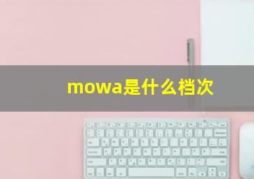 mowa是什么档次