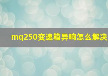 mq250变速箱异响怎么解决