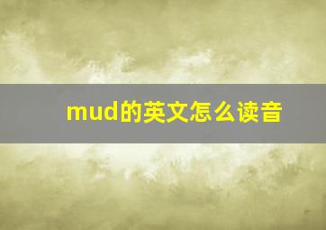 mud的英文怎么读音