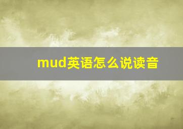 mud英语怎么说读音