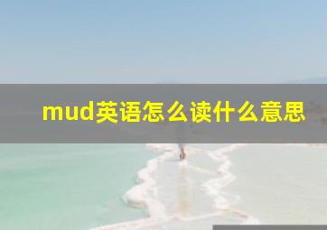 mud英语怎么读什么意思