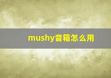 mushy音箱怎么用