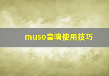 muso音响使用技巧