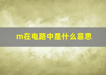 m在电路中是什么意思