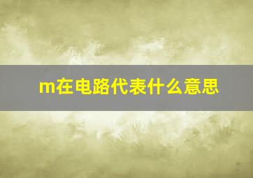 m在电路代表什么意思