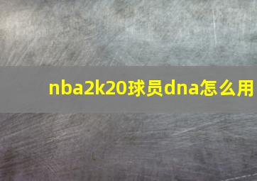 nba2k20球员dna怎么用