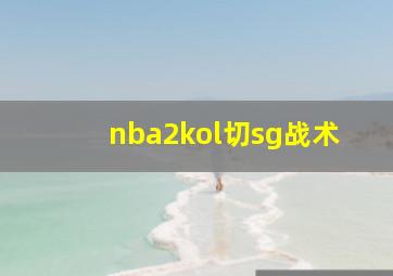 nba2kol切sg战术