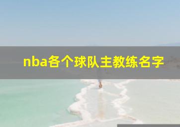 nba各个球队主教练名字