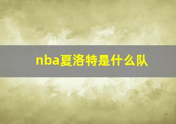 nba夏洛特是什么队