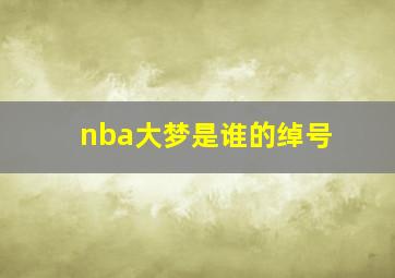 nba大梦是谁的绰号