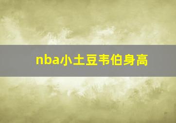 nba小土豆韦伯身高