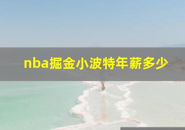 nba掘金小波特年薪多少