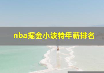 nba掘金小波特年薪排名