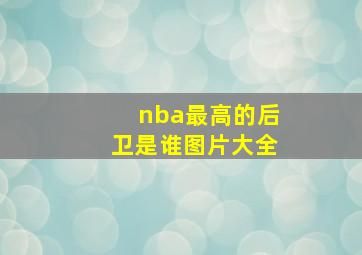 nba最高的后卫是谁图片大全