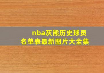 nba灰熊历史球员名单表最新图片大全集