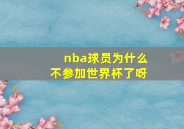 nba球员为什么不参加世界杯了呀