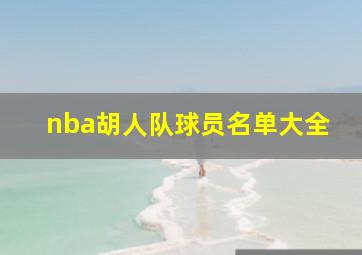 nba胡人队球员名单大全