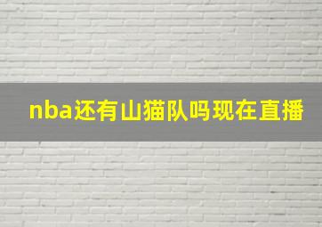 nba还有山猫队吗现在直播