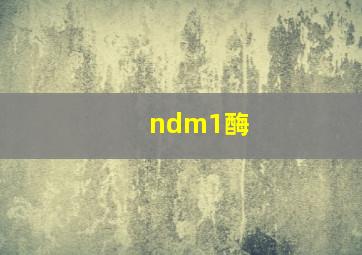 ndm1酶