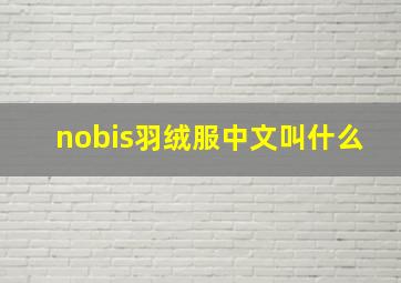 nobis羽绒服中文叫什么