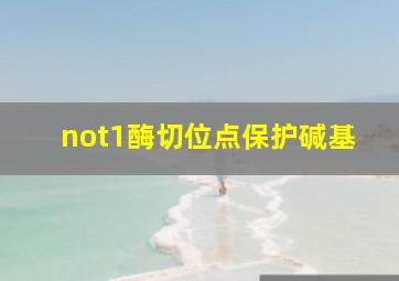 not1酶切位点保护碱基