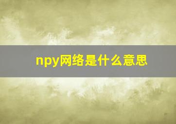 npy网络是什么意思