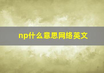 np什么意思网络英文