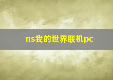 ns我的世界联机pc