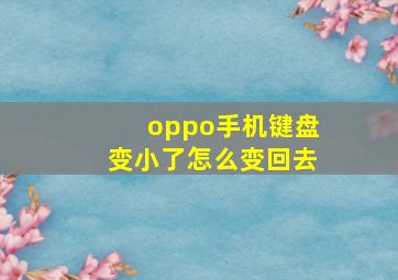 oppo手机键盘变小了怎么变回去