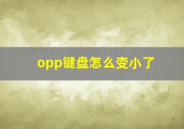 opp键盘怎么变小了